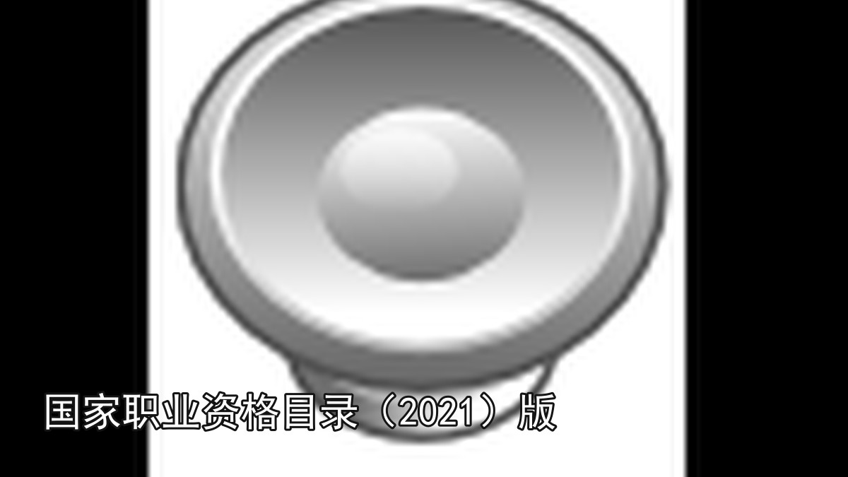 国家职业资格目录（2021）版